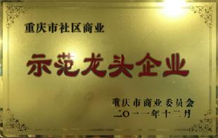 重慶市社區商業示范龍頭企業